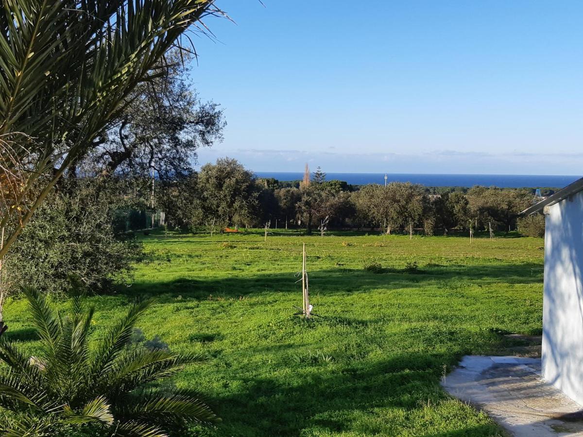 Casa Ananda Holiday home *